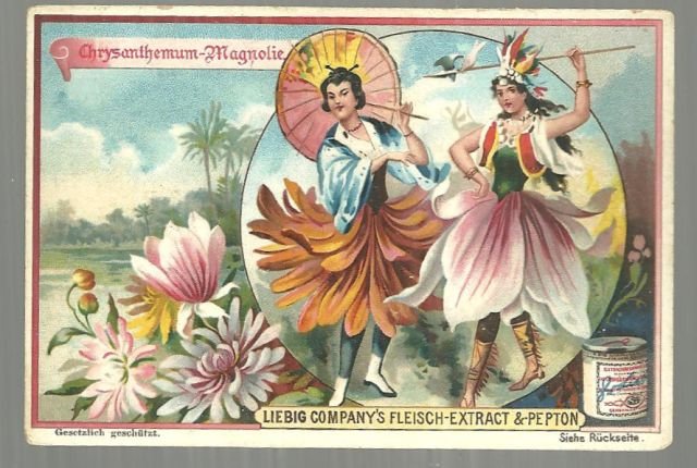 Victorian Trade Card Liebig Co Fleisch-Extract Chrysanthemum and Magnolia Ladies