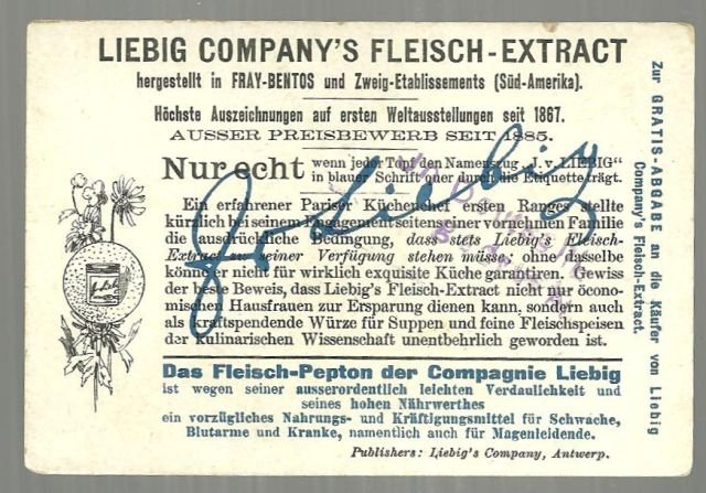 Victorian Trade Card Liebig Co Fleisch-Extract Chrysanthemum and Magnolia Ladies