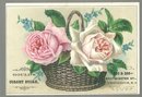 Victorian Trade Card for Gould's Corset Store Rhode Island with Basket of Roses