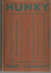 Hunky by Thames Williamson 1929 Novel 1st edition