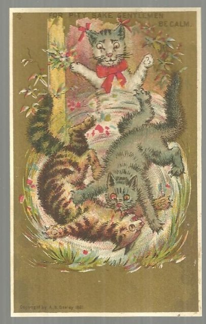 Victorian Trade Card with Cat Fight For Pity Sake Gentleman Be Calm