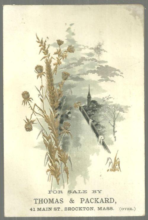 Victorian Trade Card for Royal Grand Range with Landscape and Gold Flowers
