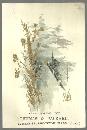 Victorian Trade Card for Royal Grand Range with Landscape and Gold Flowers