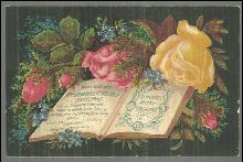 Victorian Trade Card Demorest's Illustrated Monthly Reliable Patterns w/Flowers