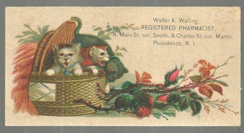 Victorian Card for Walter A. Walling Registered Pharmacist Providence RI Kittens
