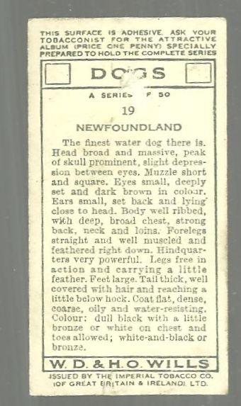 Vintage Wills' Cigarette Card with Newfoundland Dog #19
