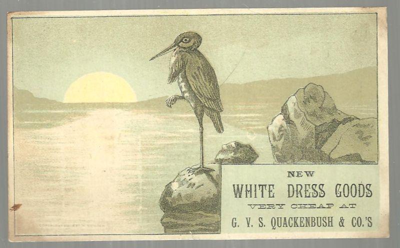 Victorian Trade Card for White Dress Goods at G. U. S. Quackenbush with Heron