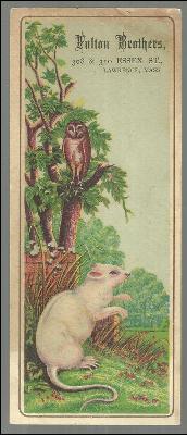 Victorian Trade Card for Fulton Brothers, Lawrence, MA Owl and White Mouse