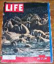 Life Magazine June 27, 1960 Alaskan Walrus on cover