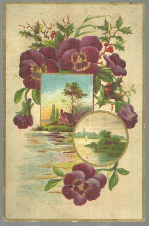 Victorian Trade Card For Capital Coffee with Pansies