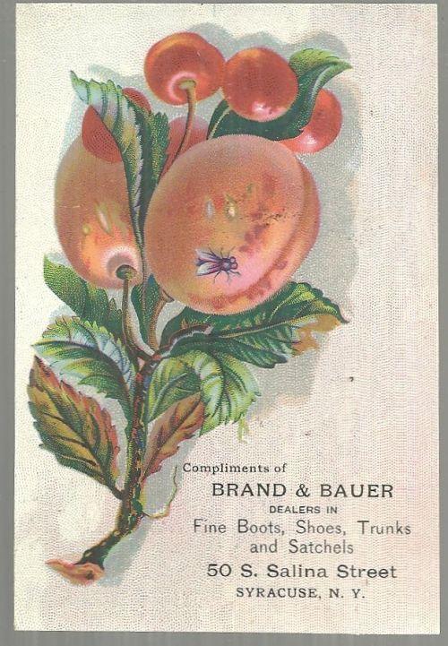 Victorian Trade Card for Brand and Bauer Boots Shoes with Fruit