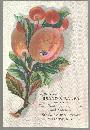 Victorian Trade Card for Brand and Bauer Boots Shoes with Fruit