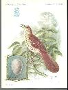Trade Card Singer Sewing Machine American Song Birds Series Brown Thrasher