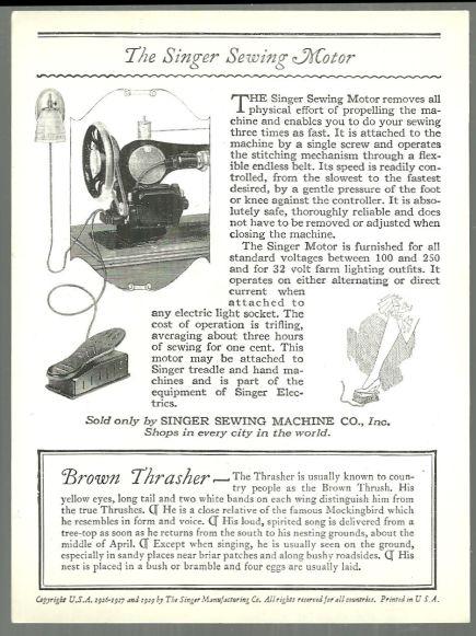 Trade Card Singer Sewing Machine American Song Birds Series Brown Thrasher