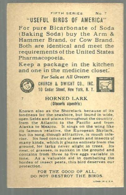 Victorian Trade Card for Church and Dwight Cow Brand, Baking Soda Horned Lark