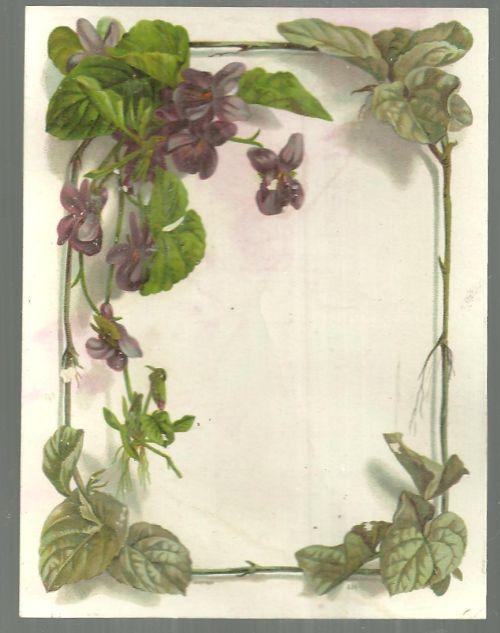 Victorian Trade Card for Spitz Bros. And Mork Clothing with Violets