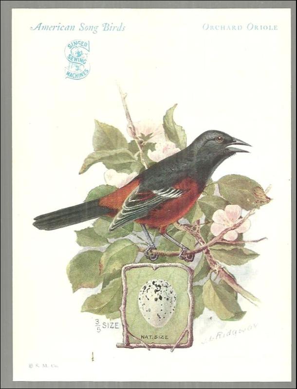 Trade Card Singer Sewing Machine American Song Birds Series Orchard Oriole