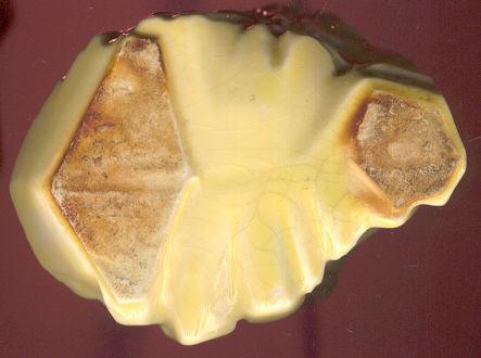 McCoy Yellow Tree Stump Planter
