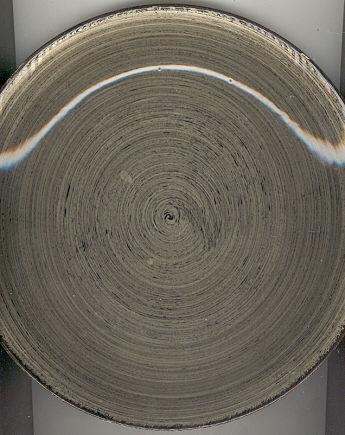 Blue Ridge Pottery Southern Rustic Design Dinner Plate