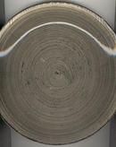 Blue Ridge Pottery Southern Rustic Design Dinner Plate