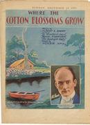 Where the Cotton Blossoms Grow by Al Short 1931 Song