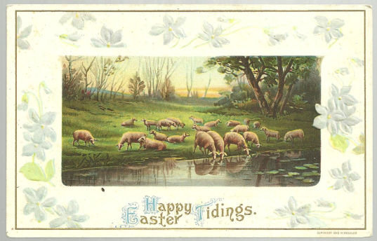 Happy Easter Tidings Postcard with Flock of Sheep