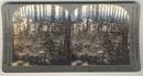 Building Barbed Wire Entanglements Stereoview Card