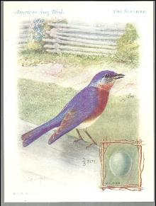 Victorian Trade Card Singer Sewing Machine American Song Birds Series Blue Bird
