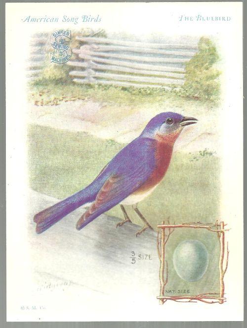 Victorian Trade Card Singer Sewing Machine American Song Birds Series Blue Bird