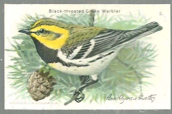 Victorian Trade Card Church and Dwight Cow Brand Black Throated Green Warbler