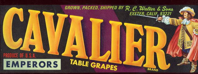 Cavalier Table Grapes Fruit Crate Label