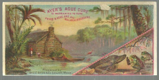 Victorian Trade Card for Ayer's Ague Cure with Swamp Scene and Alligators