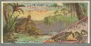 Victorian Trade Card for Ayer's Ague Cure with Swamp Scene and Alligators