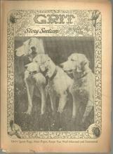 Grit Story Section October 16, 1938 Vintage Fiction, Poetry and Cartoons