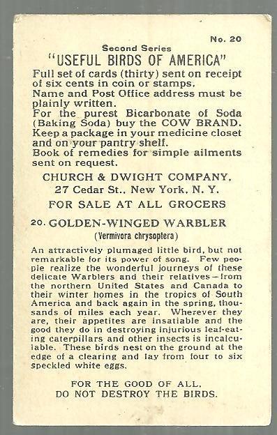 Victorian Trade Card Church and Dwight Cow Baking Soda Golden-Winged Warbler