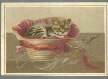 Victorian Trade Card For Lion Coffee with Kitten in Sewing Basket