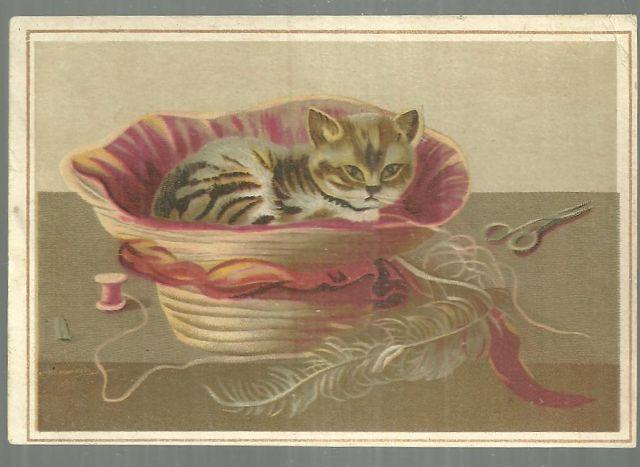 Victorian Trade Card For Lion Coffee with Kitten in Sewing Basket