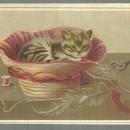 Victorian Trade Card For Lion Coffee with Kitten in Sewing Basket