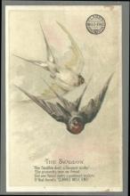 Victorian Trade Card for Clark's Mile End Spool Cotton with The Swallow