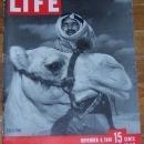 Life Magazine November 4, 1946 Palestine on Cover/Paris Clotheshorses