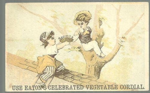 Victorian Trade Card for Eaton's Celebrated Vegetable Cordial with Boy and Girl