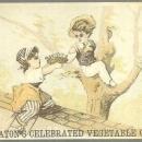 Victorian Trade Card for Eaton's Celebrated Vegetable Cordial with Boy and Girl