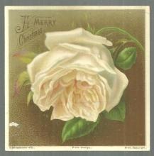 Victorian Merry Christmas Card with White Rose