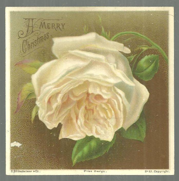 Victorian Merry Christmas Card with White Rose
