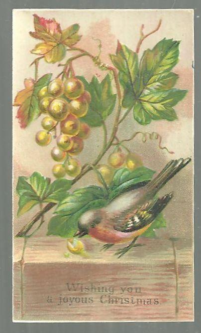 Victorian Christmas Card with Robin Wishing You a Joyous Christmas