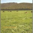 Farm in Jones Valley, Alabama by Raymond Jones 2009 1st edition Illustrated