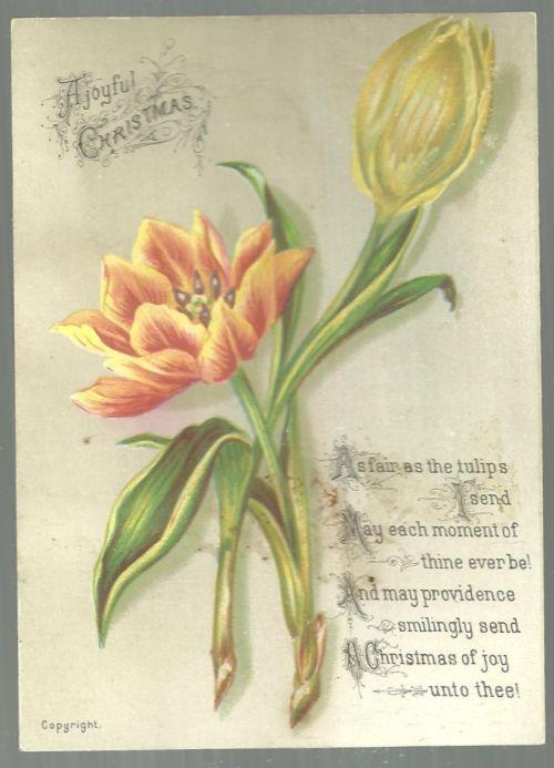 Victorian Christmas Card with Tulips A Joyful Christmas Fair as the Tulips