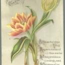 Victorian Christmas Card with Tulips A Joyful Christmas Fair as the Tulips