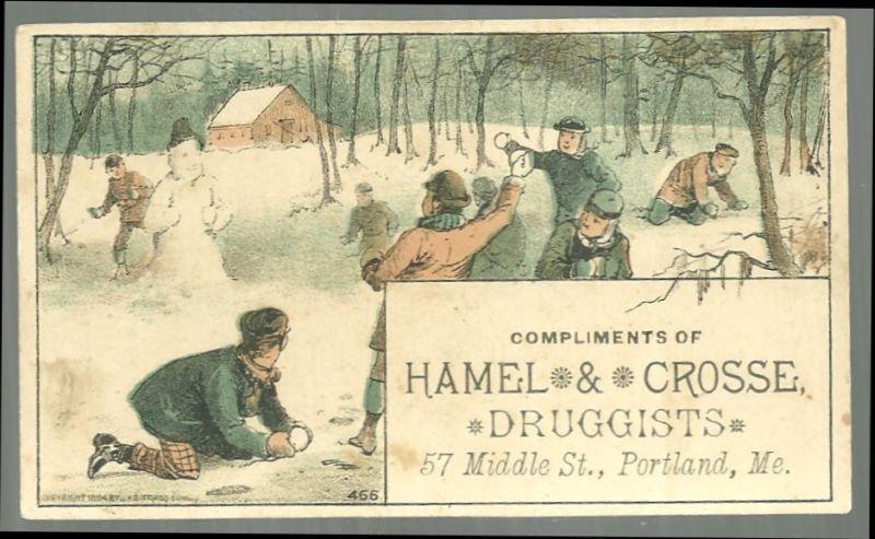Victorian Trade Card Compliments of Hamel and Crosse Druggists w/Snowball Fight