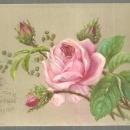 Victorian S. Hildesheimer Christmas Card I Send a Rose at Christmas With My Love